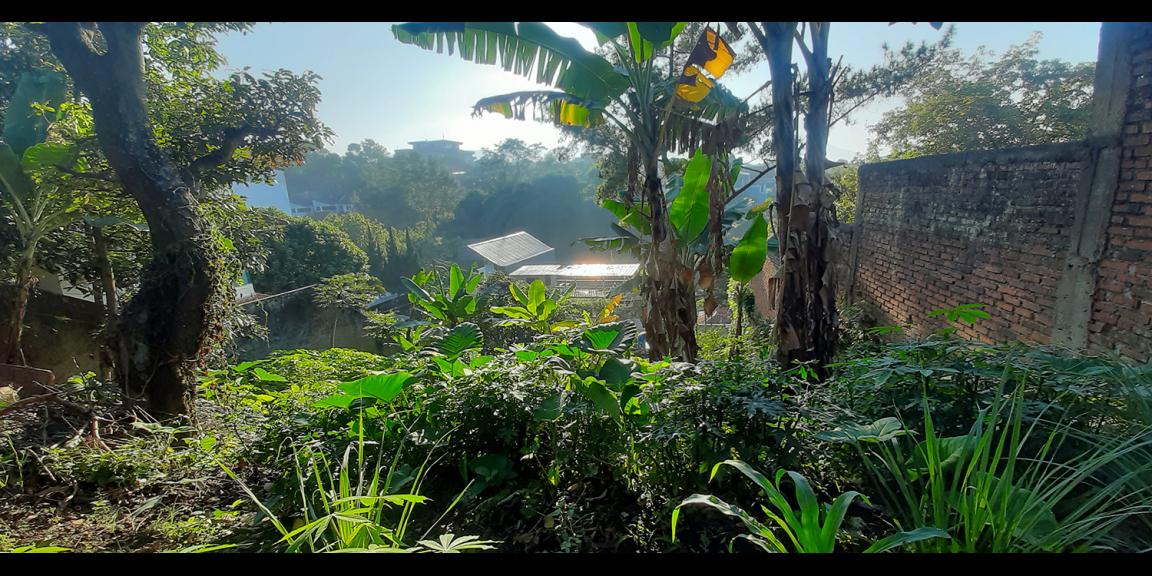 TANAH UNTUK RUMAH TINGGAL ATAU KOST-KOSTAN DI TUBAGUS ISMAIL DAGO BANDUNG TANAH UNTUK RUMAH TINGGAL ATAU KOST-KOSTAN DI TUBAGUS ISMAIL DAGO BANDUNG