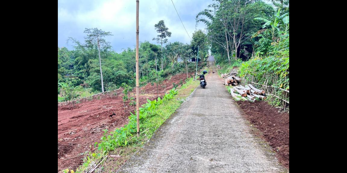 Kebun Buah 2627m² View Hamparan Sawah Karanganyar Kebun Buah 2627m² View Hamparan Sawah Karanganyar