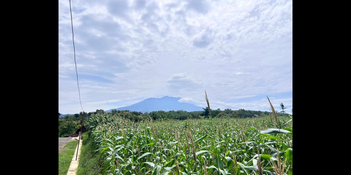 Tanah View Gunung Lawu 8000m Kerjo Karanganyar Utara Tanah View Gunung Lawu 8000m Kerjo Karanganyar Utara