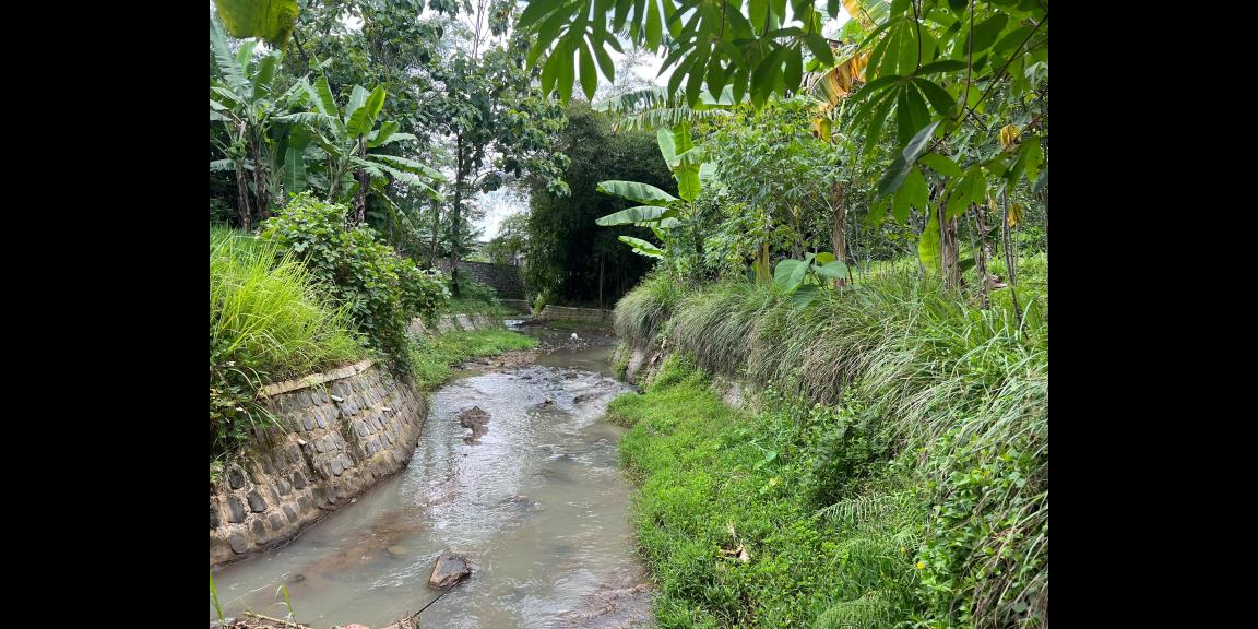 Tanah Kebun Alpukat Siap Panen 800m² Kerjo Karanganyar Tanah Kebun Alpukat Siap Panen 800m² Kerjo Karanganyar