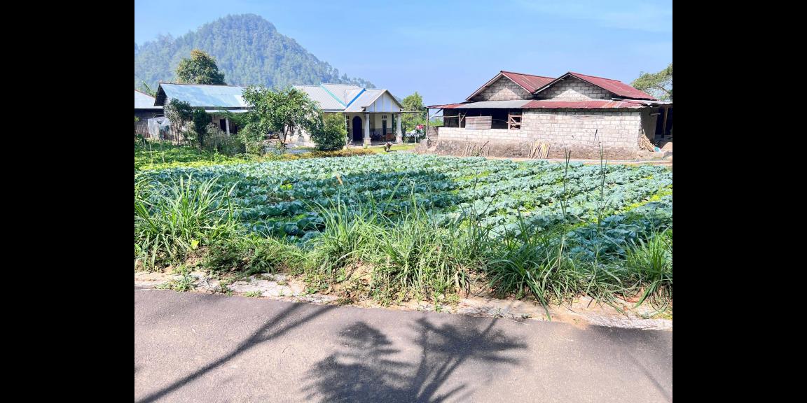 Tanah Murah 505m² 350 Juta Kawasan Wisata Karanganyar Tanah Murah 505m² 350 Juta Kawasan Wisata Karanganyar