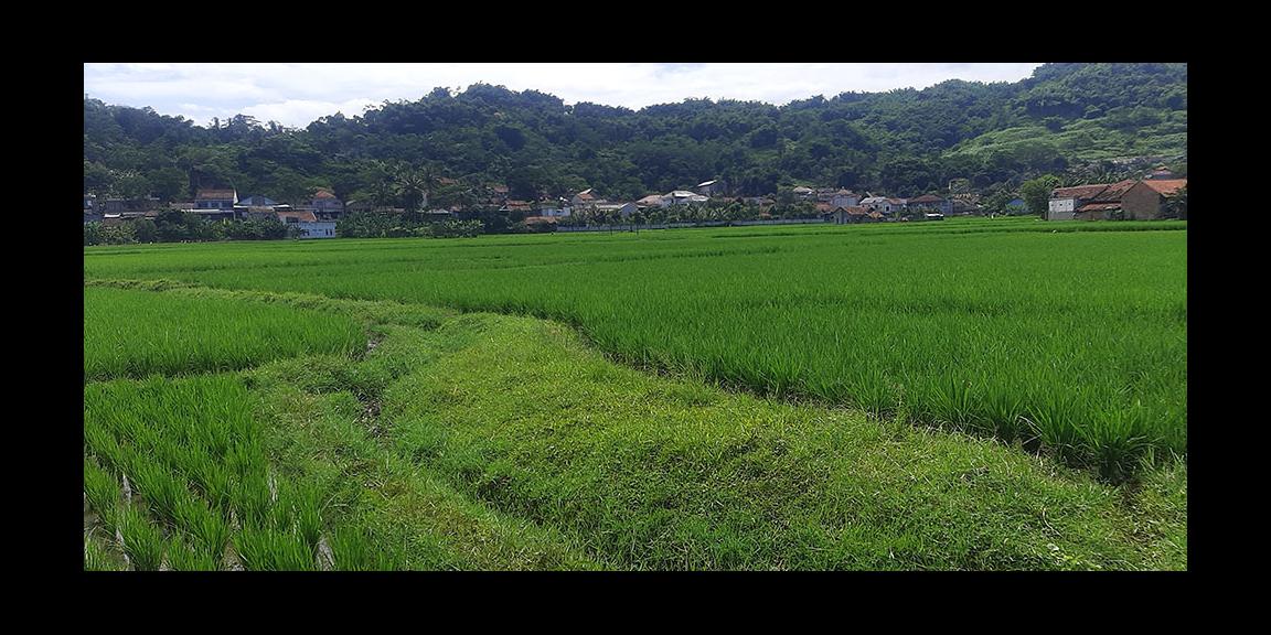 TANAH UNTUK PERUMAHAN ATAU PERMUKIMAN DI CILILIN BANDUNG BARAT TANAH UNTUK PERUMAHAN ATAU PERMUKIMAN DI CILILIN BANDUNG BARAT