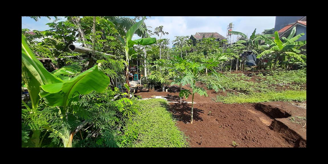 TANAH HUNIAN LINGKUNGAN TENANG NYAMAN DAN AMAN DI ARCAMANIK BANDUNG TANAH HUNIAN LINGKUNGAN TENANG NYAMAN DAN AMAN DI ARCAMANIK BANDUNG