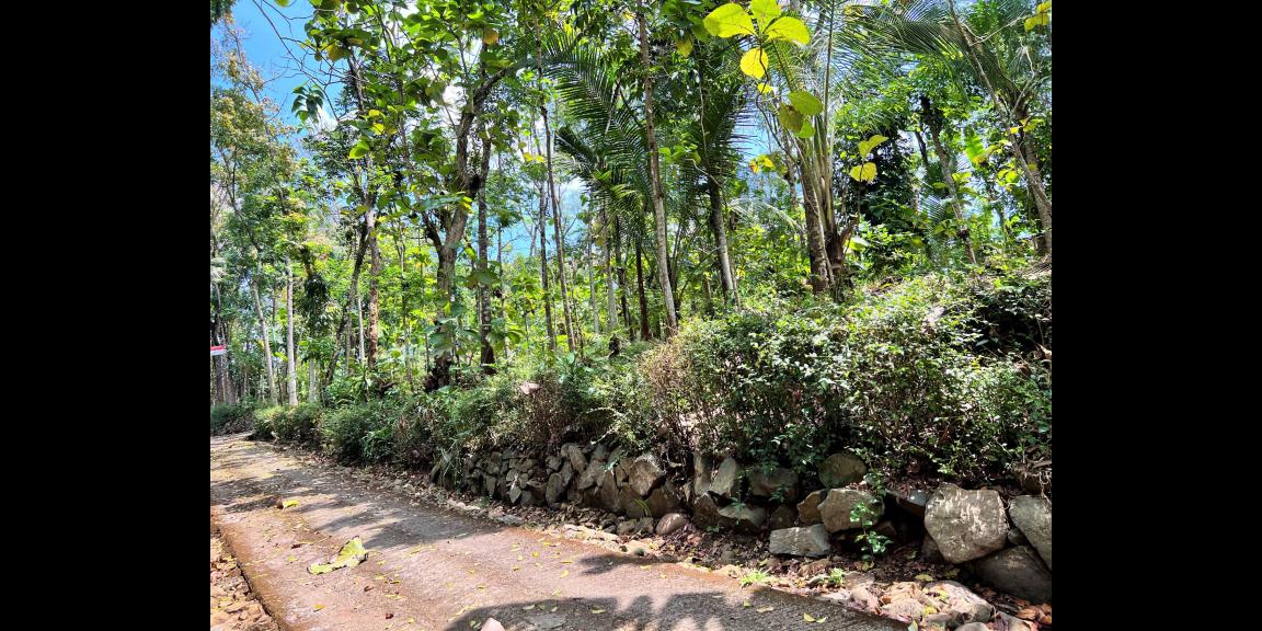 Tanah Datar Siap Dibangun Mojogedang Karanganyar Tanah Datar Siap Dibangun Mojogedang Karanganyar