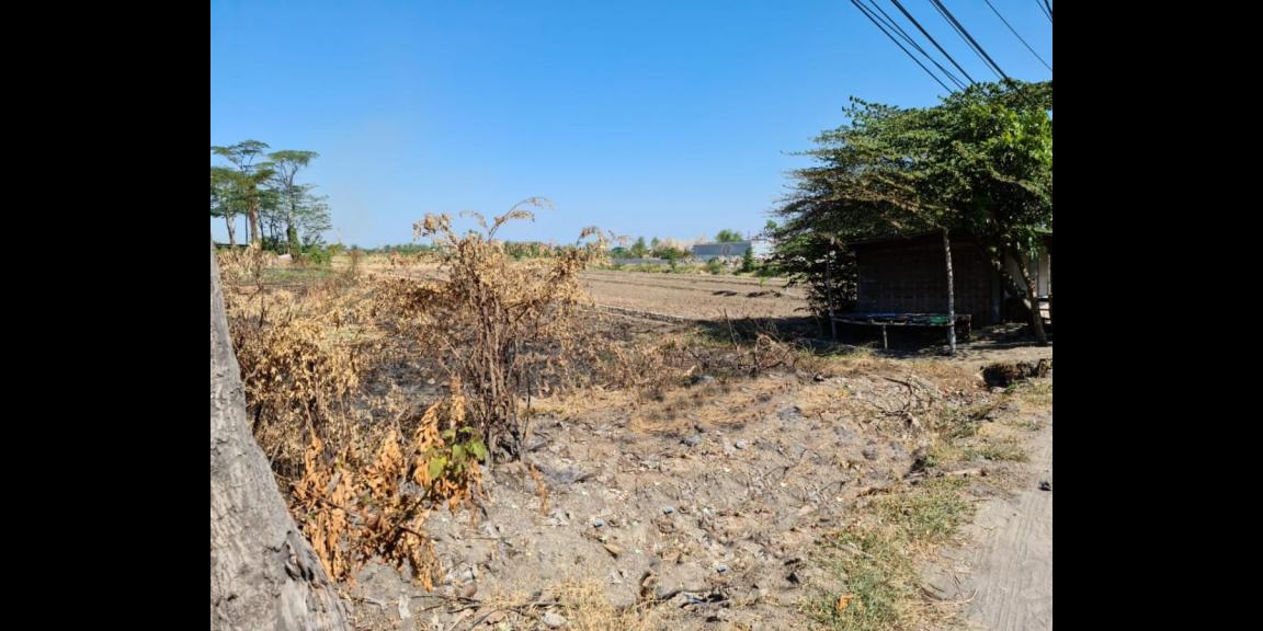 Jual Tanah Luas Strategis daerah Raya Bringkang Gresik Jual Tanah Luas Strategis daerah Raya Bringkang Gresik