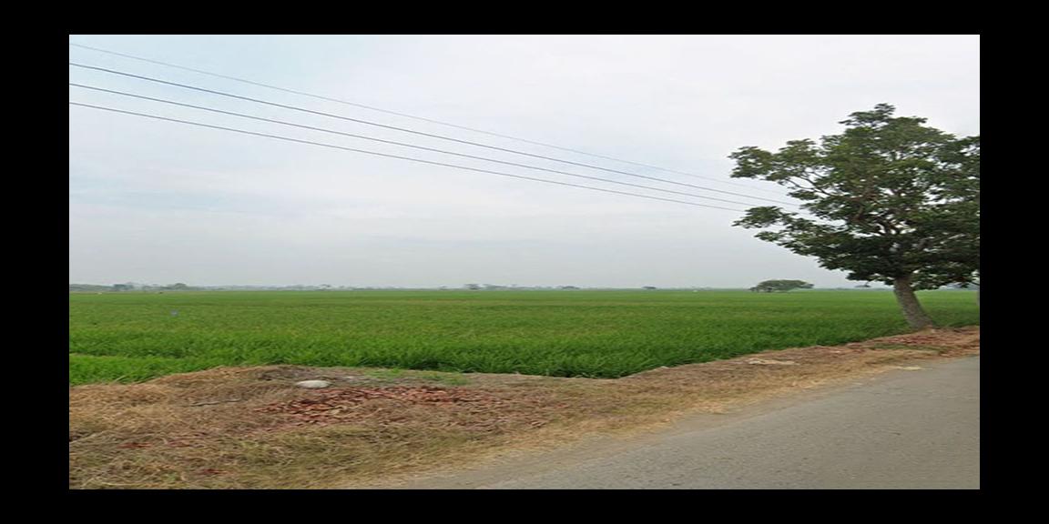 TANAH UNTUK INVESTASI DI KAWASAN BERKEMBANG DEKAT GT. SUMBERJAYA, CIPALI-MAJALENGKA TANAH UNTUK INVESTASI DI KAWASAN BERKEMBANG DEKAT GT. SUMBERJAYA, CIPALI-MAJALENGKA