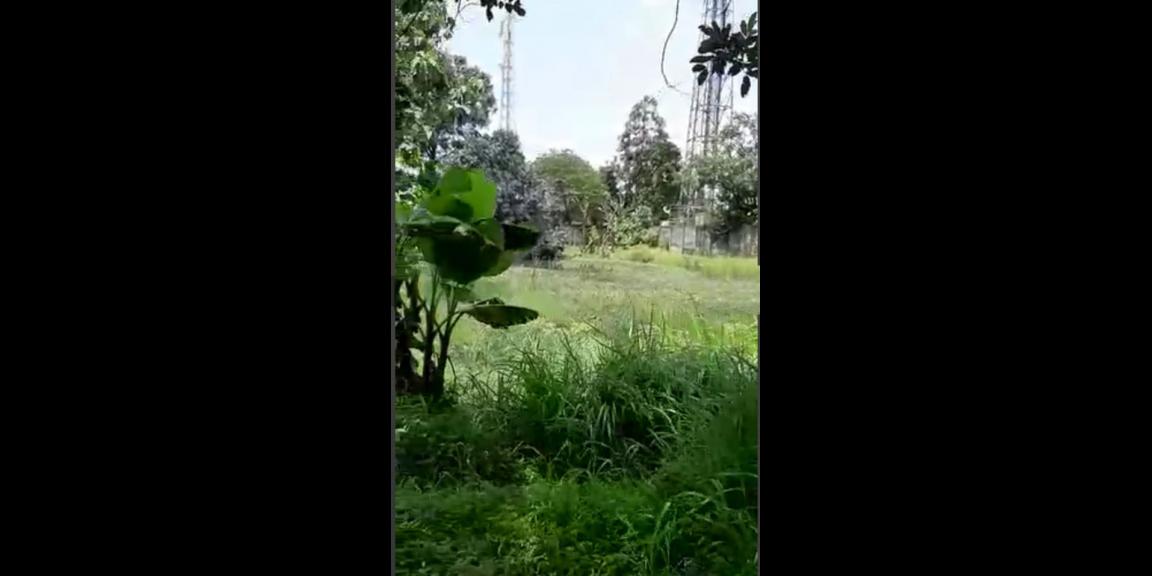 TANAH DI PINGGIR JALAN DEKAT POLITEKNIK SIBER DAN SANDI NEGARA DI CISEENG BOGOR TANAH DI PINGGIR JALAN DEKAT POLITEKNIK SIBER DAN SANDI NEGARA DI CISEENG BOGOR