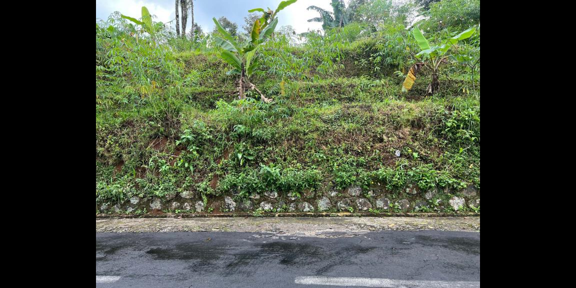 Tanah Strategis 1 Menit Dari Kebun Teh Kemuning Tanah Strategis 1 Menit Dari Kebun Teh Kemuning