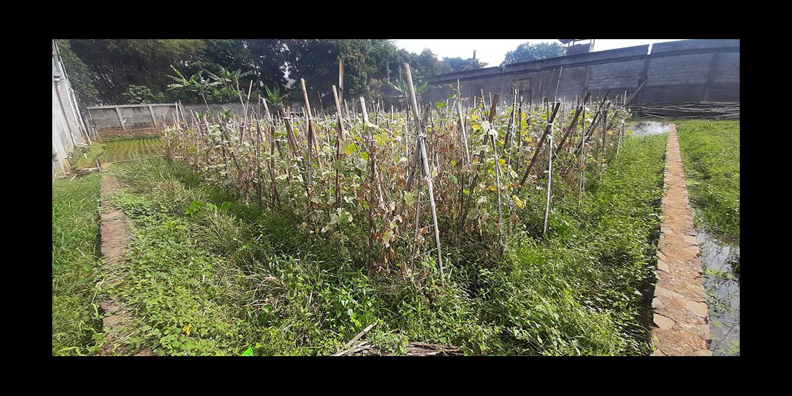 KAVLING 135 M2 MUKA 9 METER SHM AKSES MOBIL DI CISARANTEN KULON BANDUNG KAVLING 135 M2 MUKA 9 METER SHM AKSES MOBIL DI CISARANTEN KULON BANDUNG