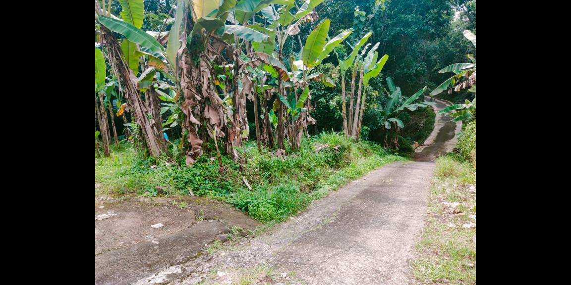 Dijual Tanah Strategis Dibangun Villa Kerjo Karanganyar Dijual Tanah Strategis Dibangun Villa Kerjo Karanganyar