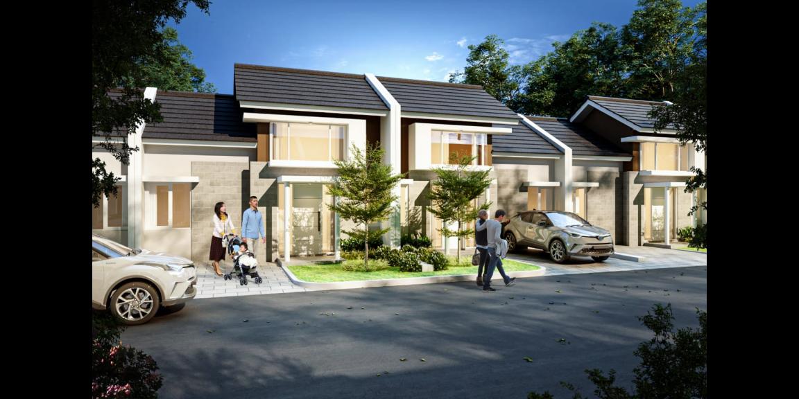 The Paradise Park The Paradise Park