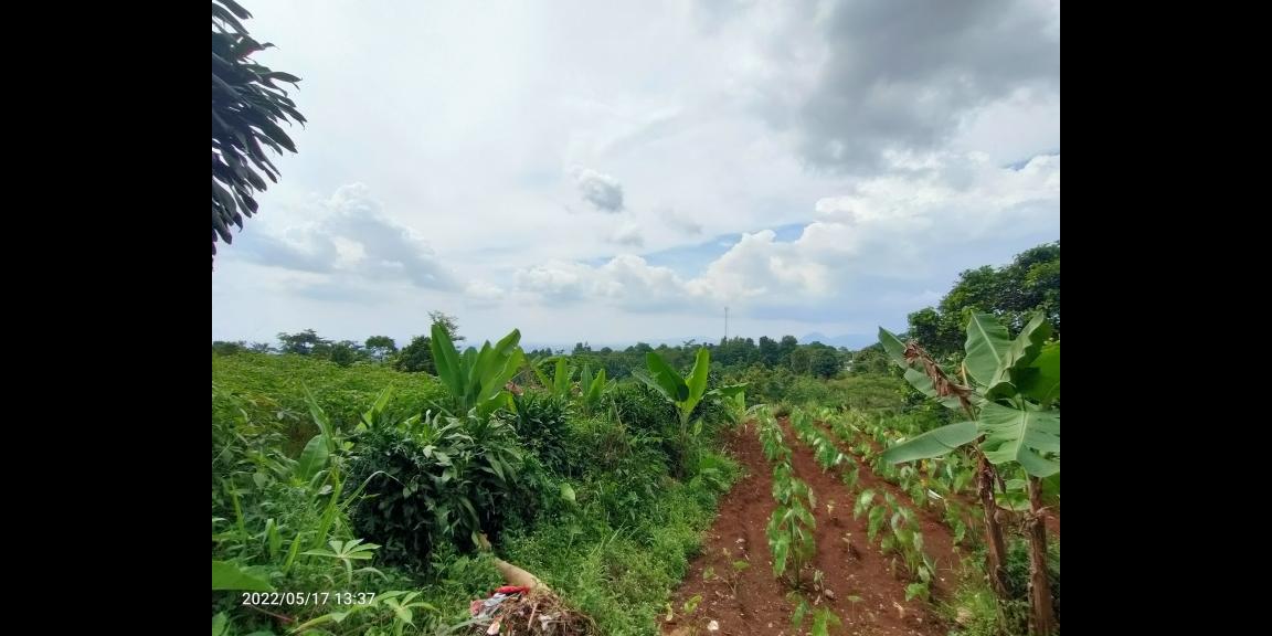 Jual Tanah di dataran tinggi Cijeruk Bogor View Indah Kota Bogor, Sentul dan Gunung Gede Jual Tanah di dataran tinggi Cijeruk Bogor View Indah Kota Bogor, Sentul dan Gunung Gede