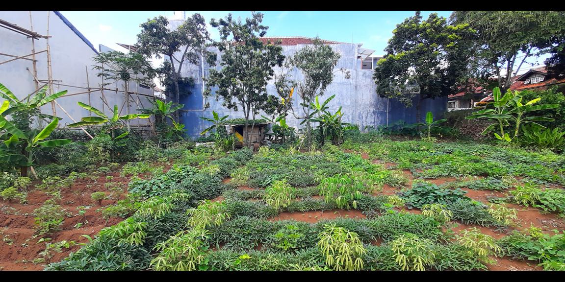 TANAH PADAT SAYAP CIGADUNG-DAGO, BANDUNG TANAH PADAT SAYAP CIGADUNG-DAGO, BANDUNG