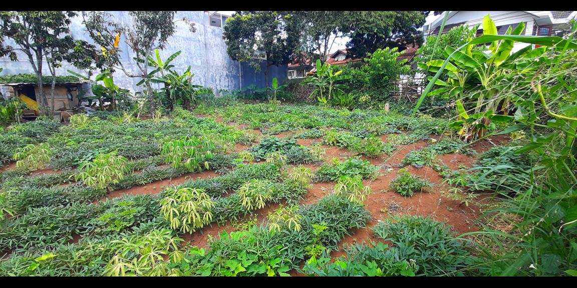 TANAH PADAT SAYAP CIGADUNG-DAGO, BANDUNG TANAH PADAT SAYAP CIGADUNG-DAGO, BANDUNG