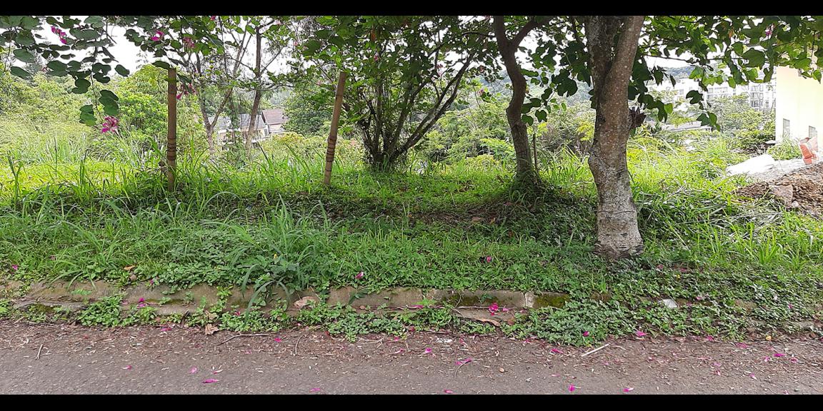 TANAH PADAT RESORT DAGO PAKAR BANDUNG TANAH PADAT RESORT DAGO PAKAR BANDUNG