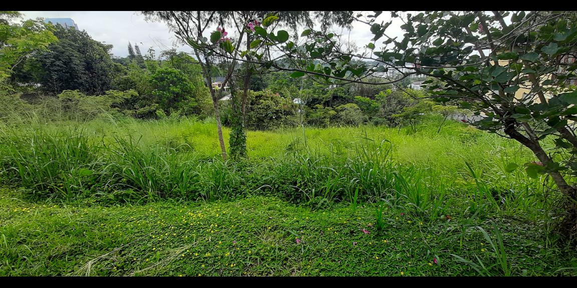 TANAH PADAT RESORT DAGO PAKAR BANDUNG TANAH PADAT RESORT DAGO PAKAR BANDUNG