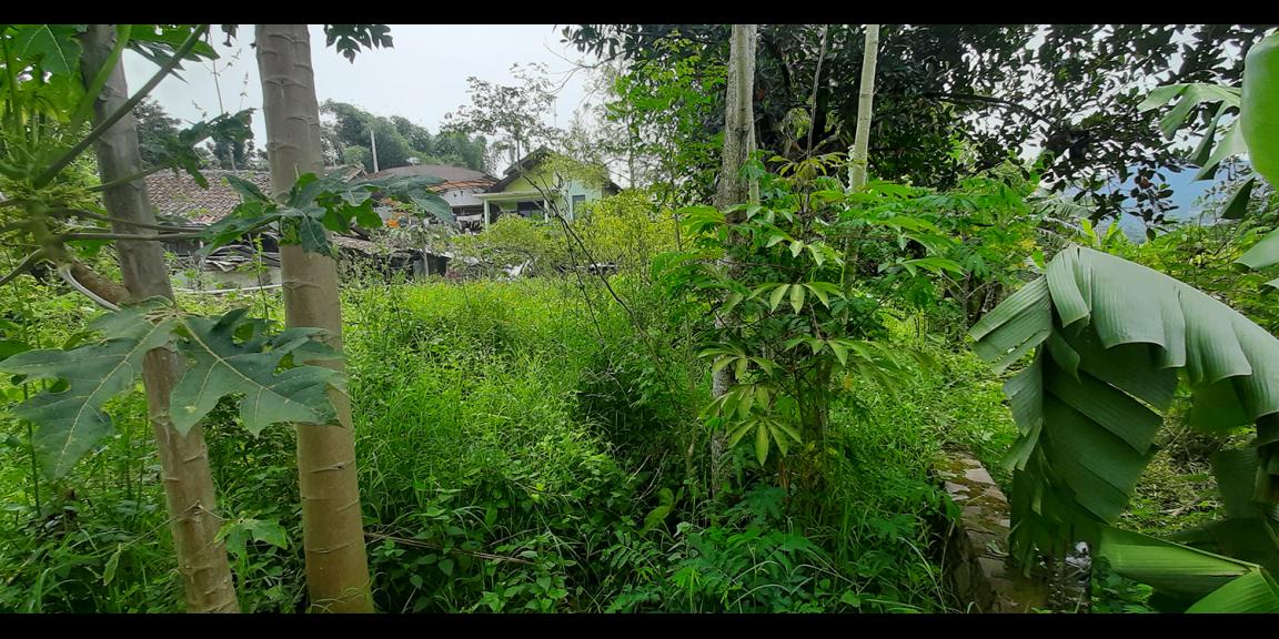 TANAH DARAT MAIN ROAD PASIR IMPUN BANDUNG TANAH DARAT MAIN ROAD PASIR IMPUN BANDUNG