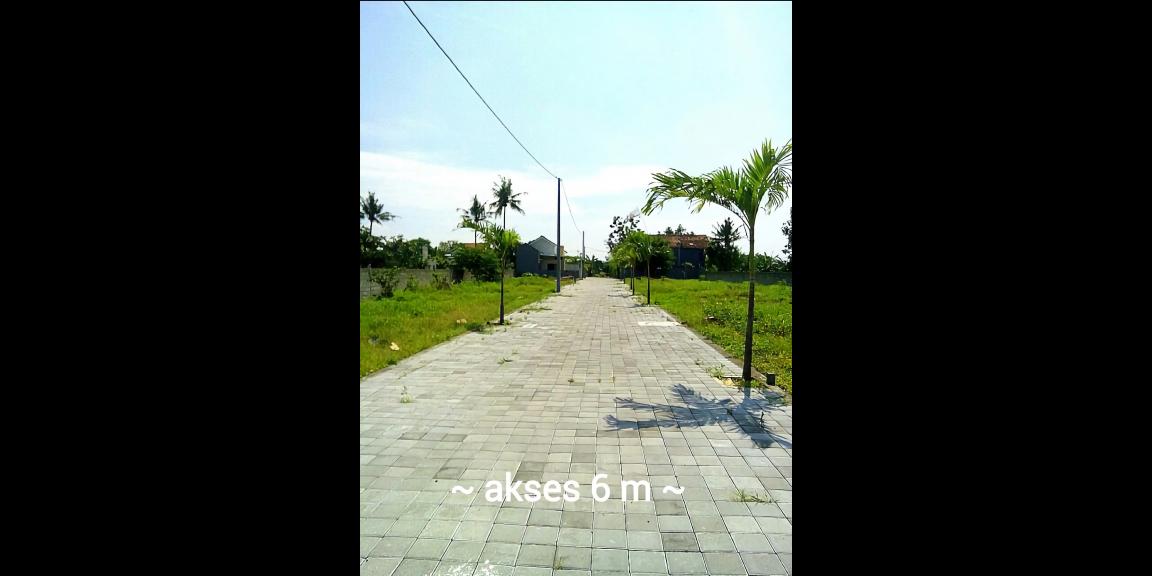 Rumah Termurah Jogja Barat Dekat Kampus PGRI Yogyakarta Dalam Ringroad Jogja Rumah Termurah Jogja Barat Dekat Kampus PGRI Yogyakarta Dalam Ringroad Jogja