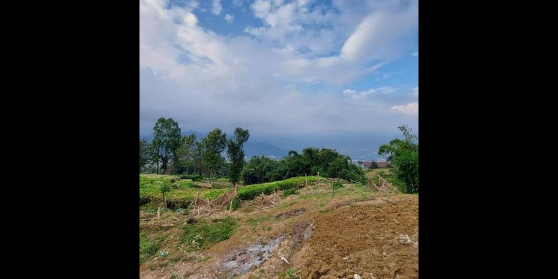 Jual Tanah Murah Daerah Cempaka Atas Kota Batu Jual Tanah Murah Daerah Cempaka Atas Kota Batu