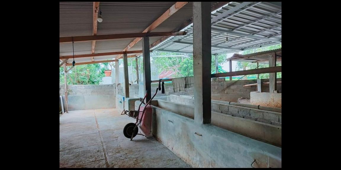 Jual Rumah Gudang 204m² Suroboyo Jirapan Masaran Sragen Jual Rumah Gudang 204m² Suroboyo Jirapan Masaran Sragen