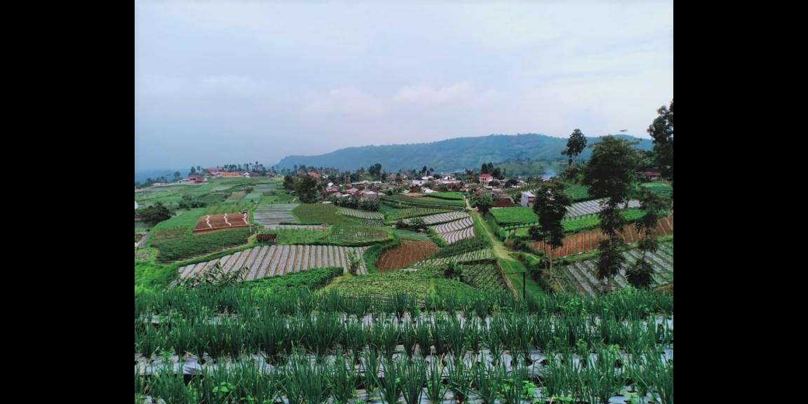 Dijual Tanah 284m² Kemuning Ngargoyoso Karanganyar Dijual Tanah 284m² Kemuning Ngargoyoso Karanganyar