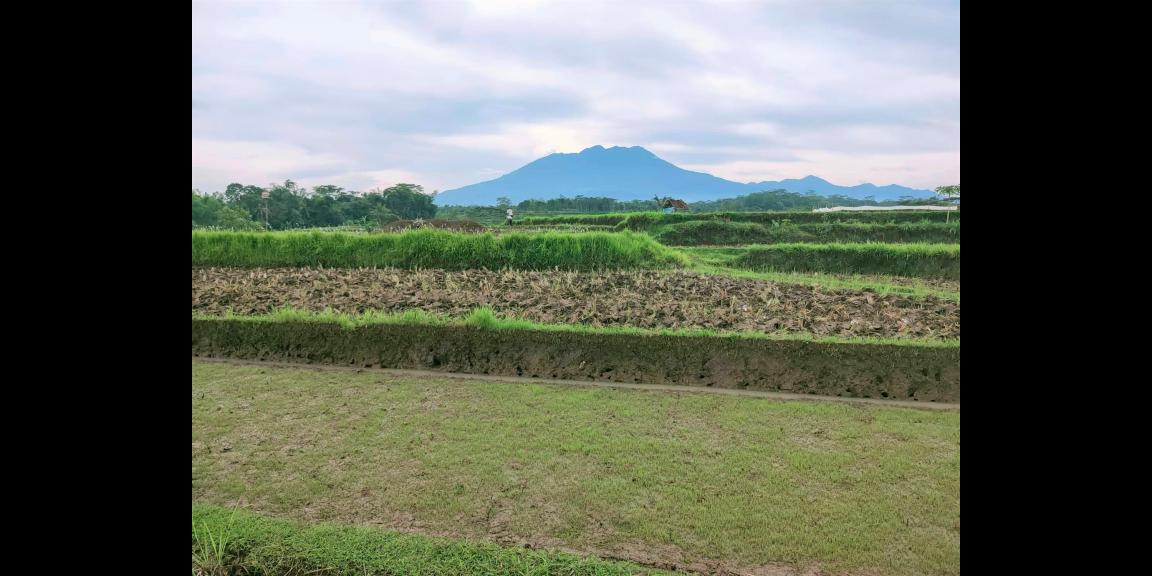 Dijual Tanah 500m² Dekat SMPN 1 Kerjo Karanganyar Dijual Tanah 500m² Dekat SMPN 1 Kerjo Karanganyar