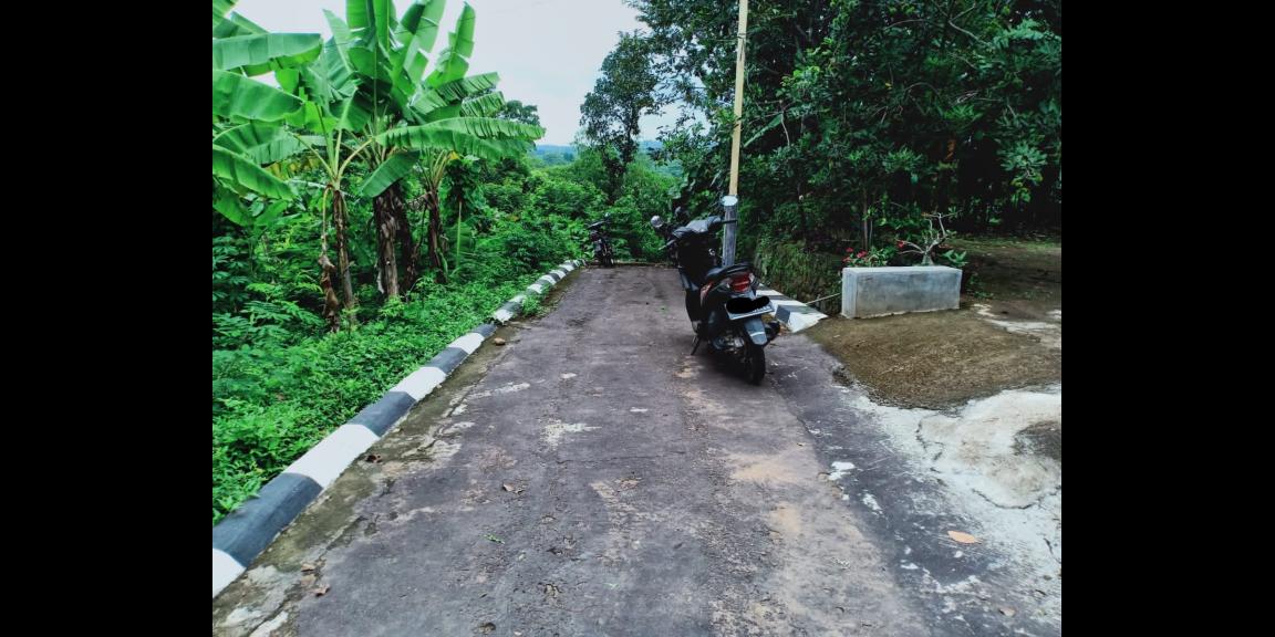 Dijual Tanah Subur di Kedawung Sragen Dijual Tanah Subur di Kedawung Sragen