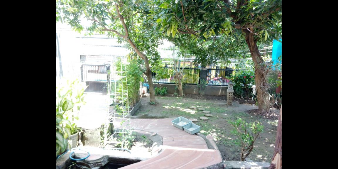 Rumah Mewah Bagus di Daerah Ketintang Timur Surabaya Rumah Mewah Bagus di Daerah Ketintang Timur Surabaya