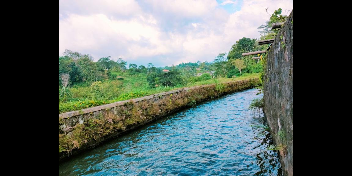 Tanah Dekat Ponpes Isy Karima & Al Azhar Karangpandan Karanganyar Tanah Dekat Ponpes Isy Karima & Al Azhar Karangpandan Karanganyar