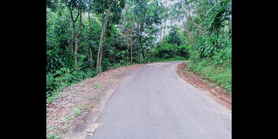 Tanah Cocok untuk Kebun Buah / Investasi Kerjo Karanganyar Tanah Cocok untuk Kebun Buah / Investasi Kerjo Karanganyar