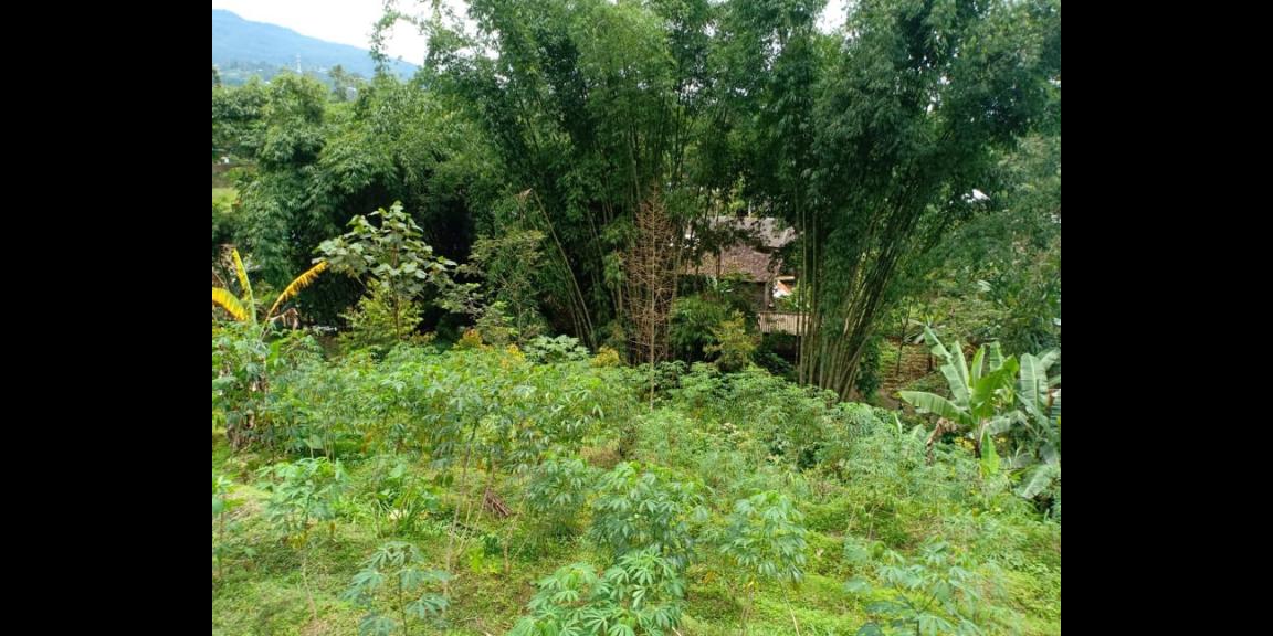 Tanah Dekat Aliran Sungai Bersih Kemuning Ngargoyoso Karanganyar Telp / WA:082327612345 Tanah Dekat Aliran Sungai Bersih Kemuning Ngargoyoso Karanganyar Telp / WA:082327612345