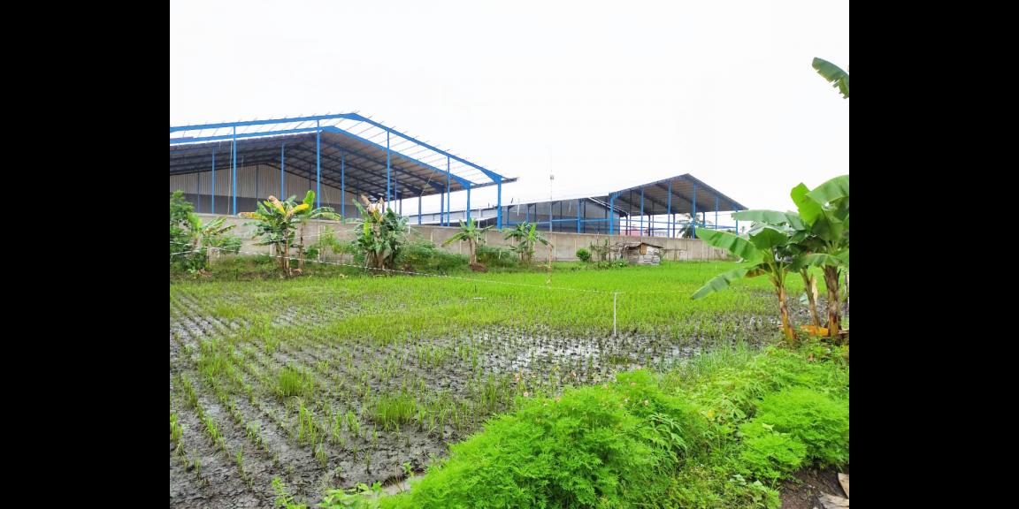 Tanah Raya 2, Sui Raya Dalam, Pontianak, Kalimantan Barat Tanah Raya 2, Sui Raya Dalam, Pontianak, Kalimantan Barat