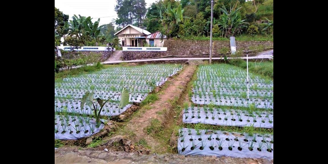 Tanah Strategis Dibangun Villa Kemuning Karanganyar Tanah Strategis Dibangun Villa Kemuning Karanganyar