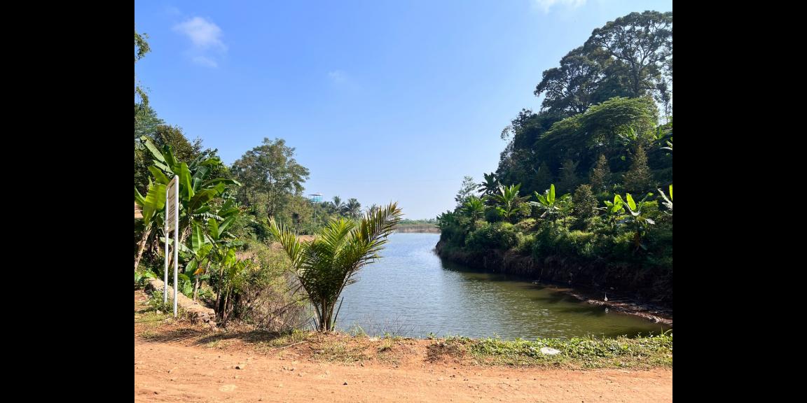 Tanah Dekat Telaga Ngargoyoso Karanganyar Tanah Dekat Telaga Ngargoyoso Karanganyar