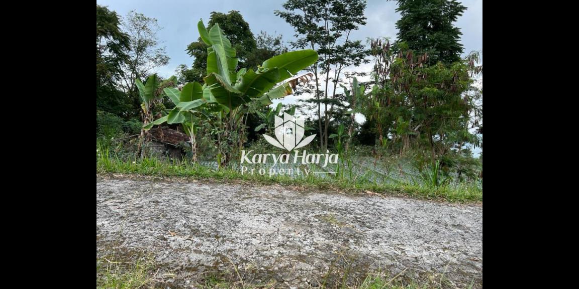 Tanah Istimewa Dekat Telaga Madirda Kemuning Tanah Istimewa Dekat Telaga Madirda Kemuning