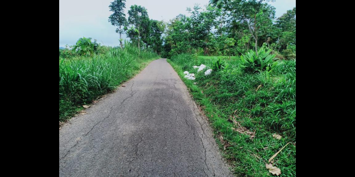 Dijual Tanah 3512m² View Hamparan Kebun Teh Kemuning Dijual Tanah 3512m² View Hamparan Kebun Teh Kemuning