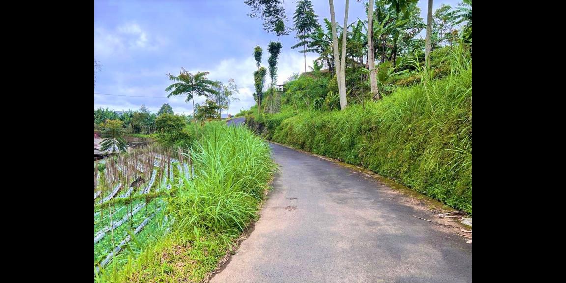 Dijual Tanah Dekat Telaga Madirda Kemuning Dijual Tanah Dekat Telaga Madirda Kemuning