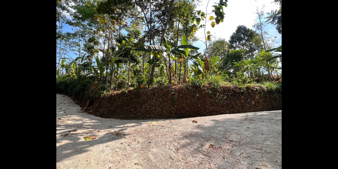 Tanah 2000m² Barat Pasar Kemuning Ngargoyoso Karanganyar Tanah 2000m² Barat Pasar Kemuning Ngargoyoso Karanganyar