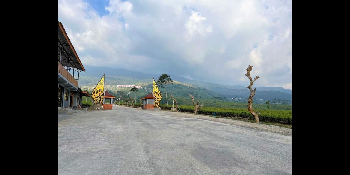 Tanah Datar View Kebun Teh & Jembatan Kaca Tanah Datar View Kebun Teh & Jembatan Kaca