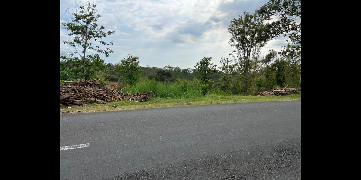 Tanah 1,4 Hektar Tepi Jl Raya Karangpandan, Karanganyar Tanah 1,4 Hektar Tepi Jl Raya Karangpandan, Karanganyar