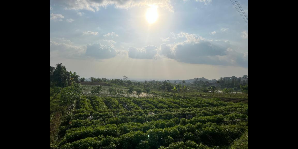 Villa 350 Juta Kawasan Wisata Kemuning Karanganyar Villa 350 Juta Kawasan Wisata Kemuning Karanganyar