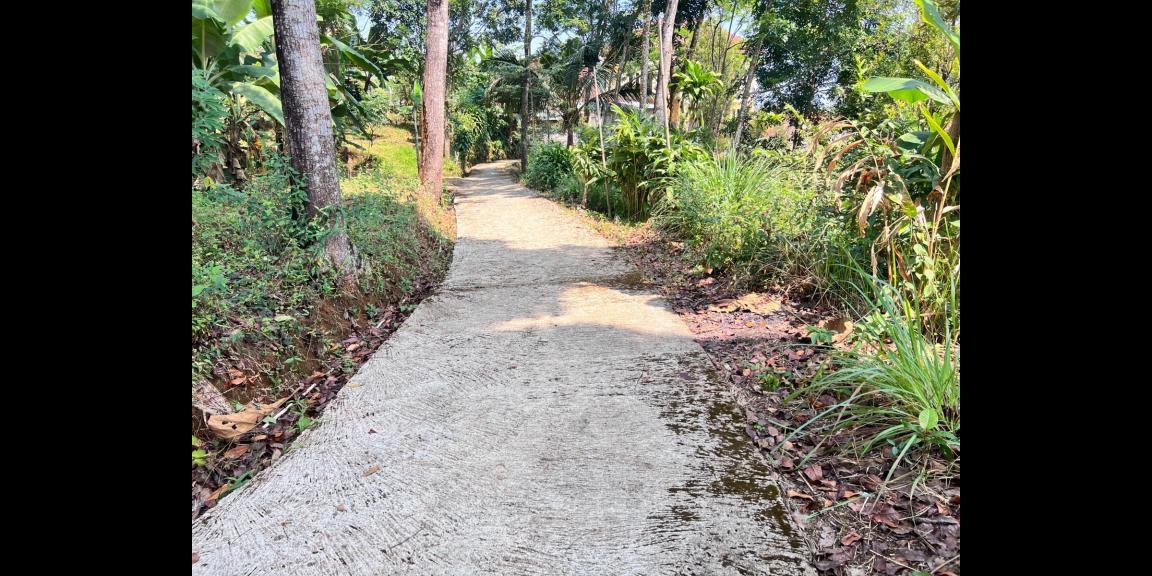 Kebun Durian 5190m² Kawasan Wisata Ngargoyoso Karanganyar Kebun Durian 5190m² Kawasan Wisata Ngargoyoso Karanganyar