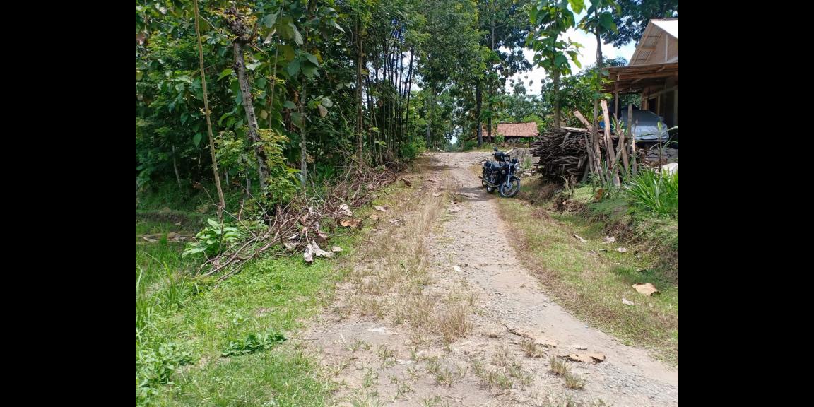Tanah Cocok untuk Rumah Tinggal Gondang Sragen Tanah Cocok untuk Rumah Tinggal Gondang Sragen