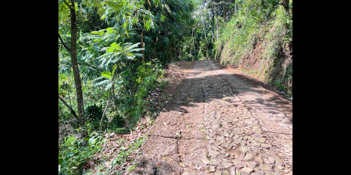 Tanah View Istimewa 1370m² 250 Juta Karanganyar  Tanah View Istimewa 1370m² 250 Juta Karanganyar