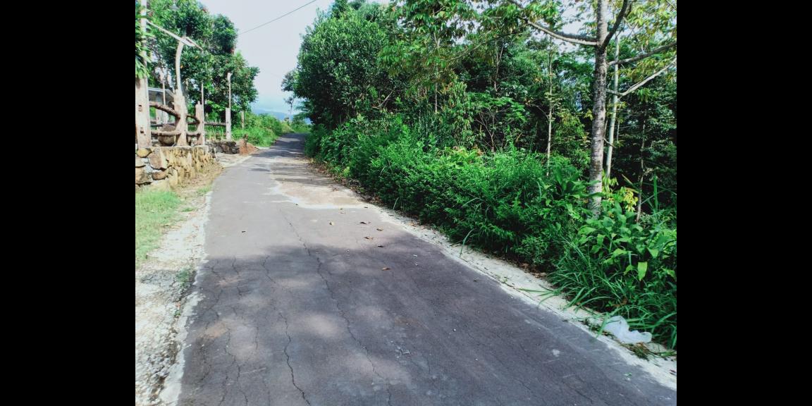 Tanah Bonus Pohon Durian Cocok dibangun Villa Karangpandan Karanganyar Tanah Bonus Pohon Durian Cocok dibangun Villa Karangpandan Karanganyar