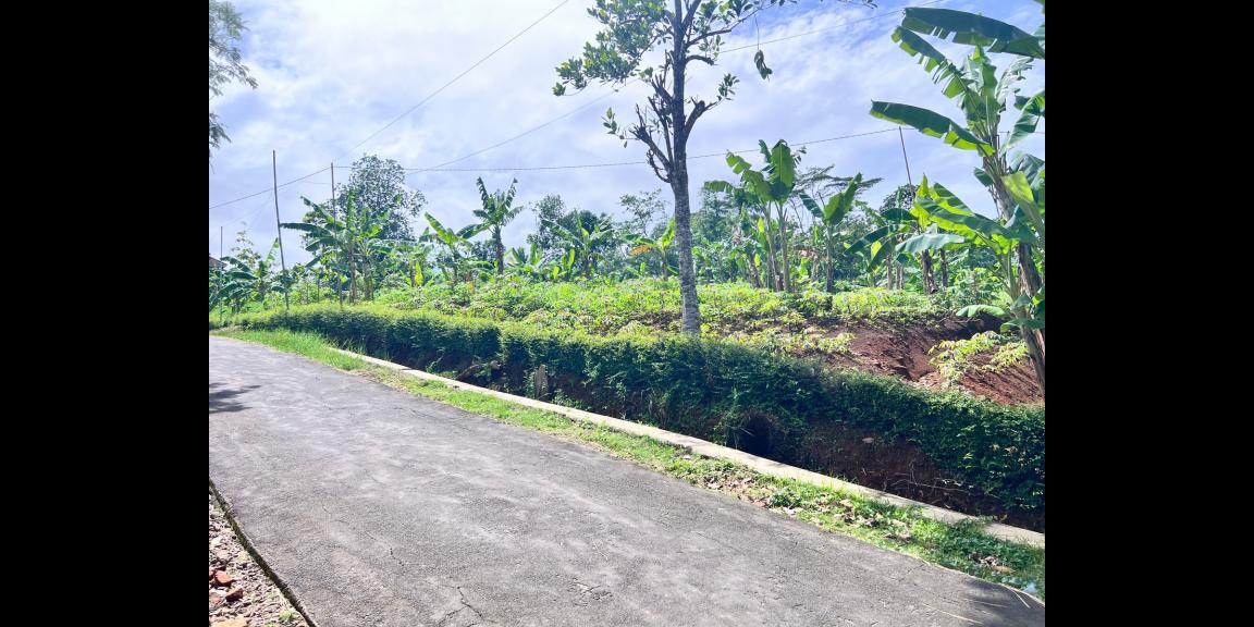 Tanah 1850m² Bonus Bangunan 350 Juta Karanganyar Tanah 1850m² Bonus Bangunan 350 Juta Karanganyar