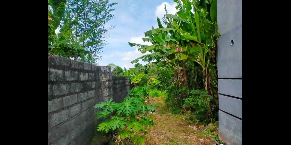 Jual Tanah Murah di Jalan Raya Takmung Klungkung Jual Tanah Murah di Jalan Raya Takmung Klungkung