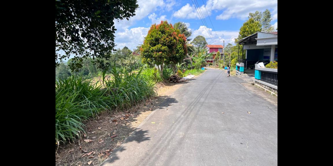 Dijual Tanah Kebun Durian Ngargoyoso Karanganyar Dijual Tanah Kebun Durian Ngargoyoso Karanganyar