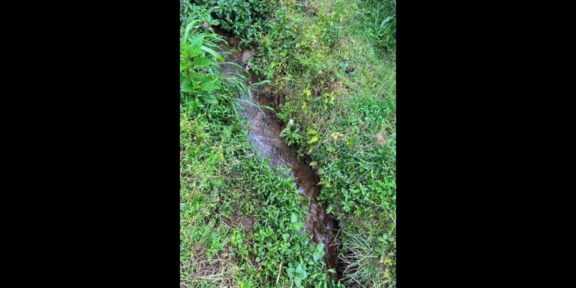 Dijual Tanah Cocok untuk Gudang Jl Raya Sragen-Karanganyar Dijual Tanah Cocok untuk Gudang Jl Raya Sragen-Karanganyar