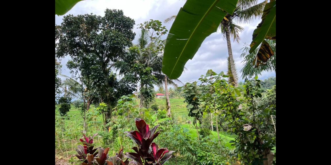 Rumah Siap Huni Dekat Wisata Mojogedang karanganyar Rumah Siap Huni Dekat Wisata Mojogedang karanganyar